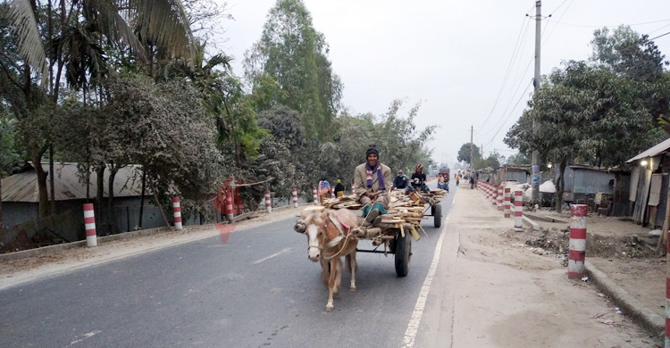মাঝ পৌষে শীত গায়েব, গুঁড়ি গুঁড়ি বৃষ্টি