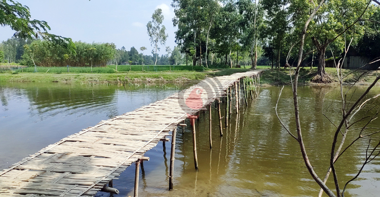 দুই গ্রামের বাসিন্দাদের ভরসা নড়বড়ে বাঁশের সাঁকো