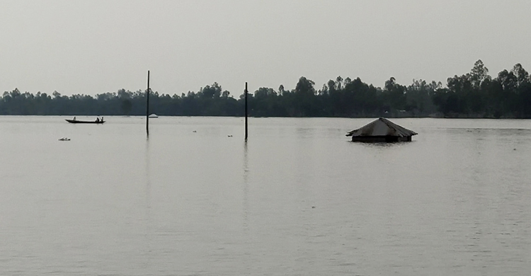 কুড়িগ্রামে নদ-নদীর পানি বাড়ছেই