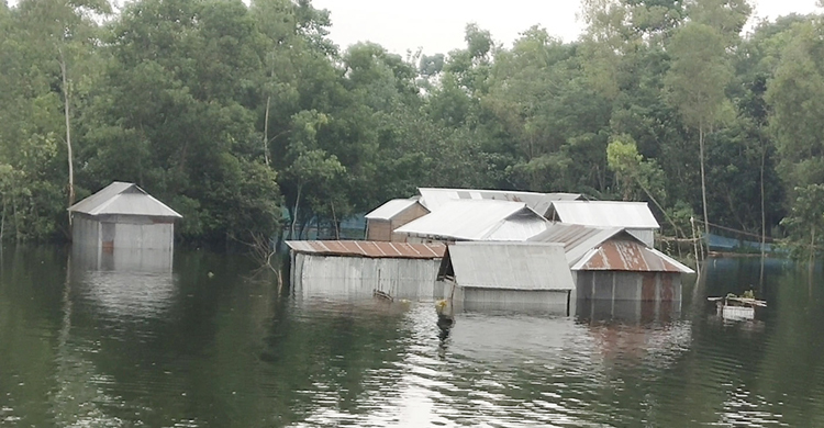 কুড়িগ্রামে বন্যার পানিতে ডুবে ১৪ শিশুর মৃত্যু