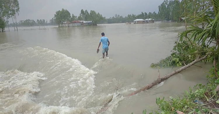 কুড়িগ্রামে নদ-নদীতে আবারও পানি বৃদ্ধি, ডুবে গেছে নিম্নাঞ্চল