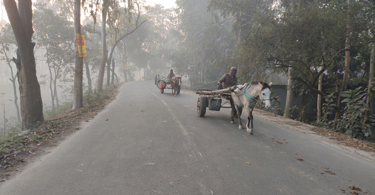 কুড়িগ্রামে বেড়েছে শীতের তীব্রতা, ভোগান্তিতে শিশু-বৃদ্ধরা