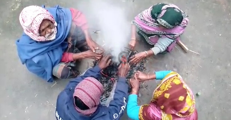 বৃষ্টির মতো পড়ছে কুয়াশা, ঠান্ডায় কাবু কুড়িগ্রামবাসী