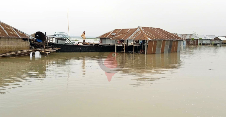 ফুসে উঠছে ধুনটের ৪ নদীর পানি