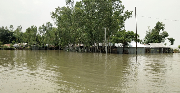 কুড়িগ্রামে বাড়ছে ধরলার পানি, বন্যায় ক্ষতিগ্রস্ত লাখো মানুষ