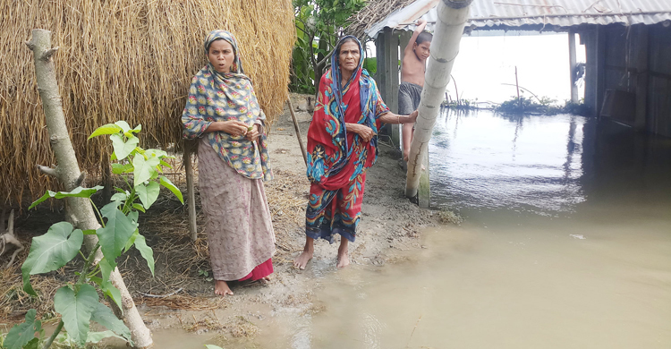 ত্রাণের জন্য বানভাসিদের হাহাকার