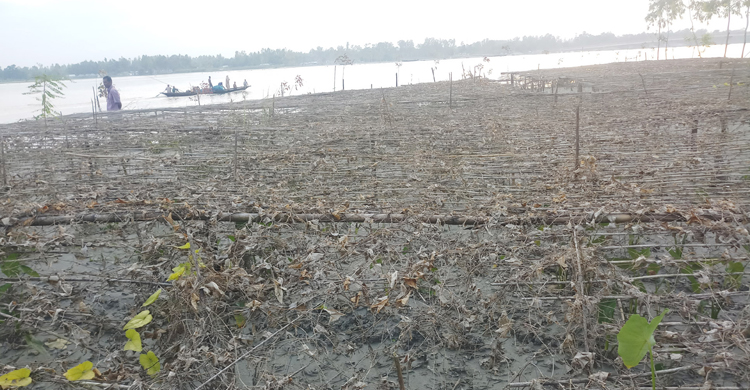 Kurigram-flood03.jpg