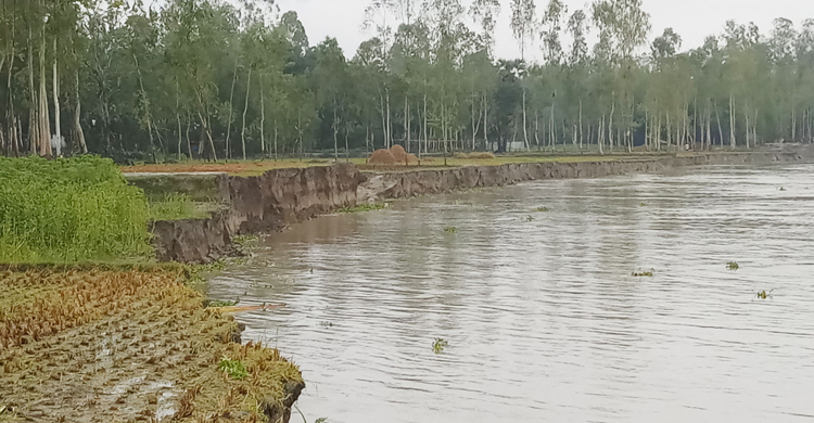 করোনা আর নদী ভাঙনে দিশেহারা কুড়িগ্রামের মানুষ