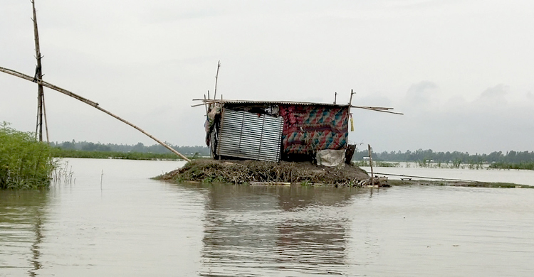 চারদিকে বন্যার পানি, মাঝে উঁচু ঢিবিতে আশ্রয়