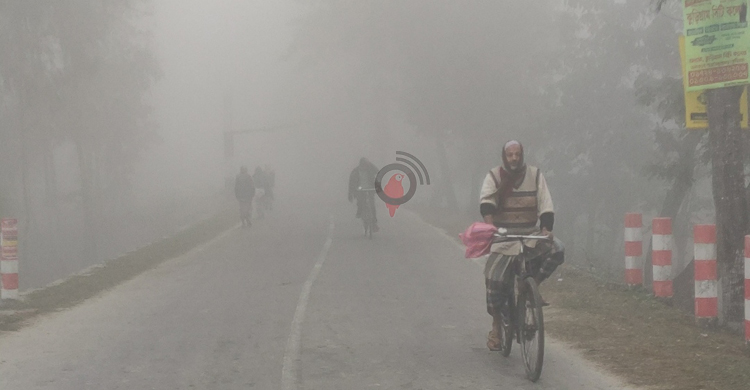 বৃষ্টির মতো পড়ছে কুয়াশা, ঠান্ডায় কাবু কুড়িগ্রামবাসী