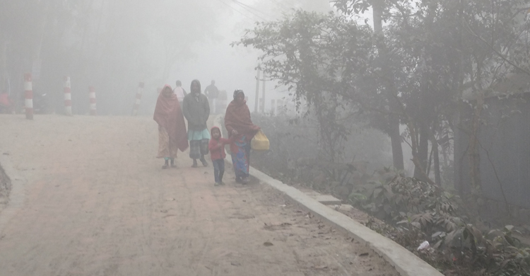 ঘন কুয়াশা-ঠান্ডায় কাহিল কুড়িগ্রাম