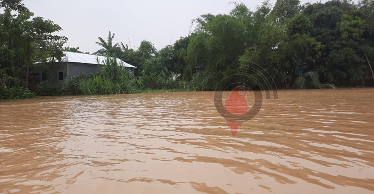 কুড়িগ্রামে পানিবন্দি ৩০ হাজার মানুষ, তলিয়ে গেছে ১০৭ হেক্টর ফসল