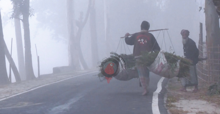 কুড়িগ্রামে বাড়ছে শীতের প্রকোপ, জনজীবনে দুর্ভোগ