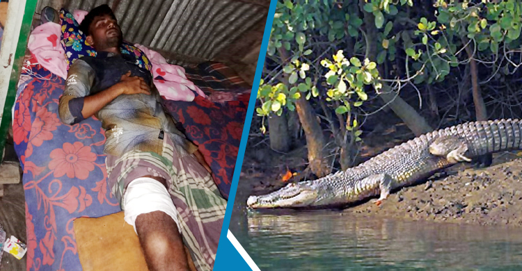 সুন্দরবনে কুমিরের সঙ্গে লড়াই করে বেঁচে ফিরলেন যুবক