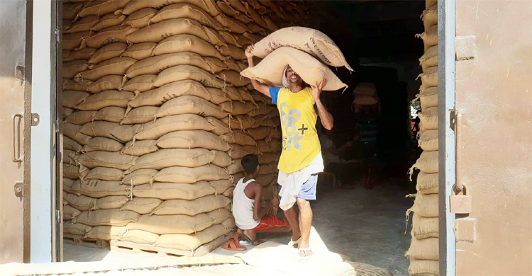 কুষ্টিয়ায় চাল সংগ্রহের লক্ষ্যমাত্রা পূরণ নিয়ে সংশয়