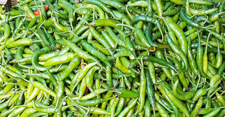 তিনদিনে কাঁচা মরিচের দাম কেজিতে বেড়েছে ১০০ টাকা