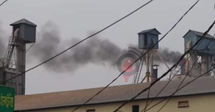 কুষ্টিয়ায় রাইস মিলের কালো ধোঁয়া-বর্জ্যে বিপন্ন পরিবেশ