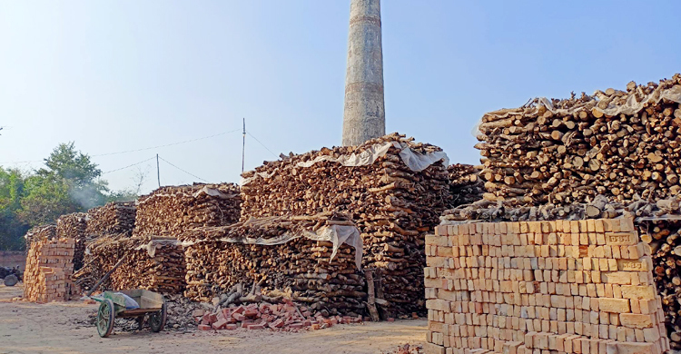 দৌলতপুরের ২৯ ইটভাটার ২৮টিই অবৈধ