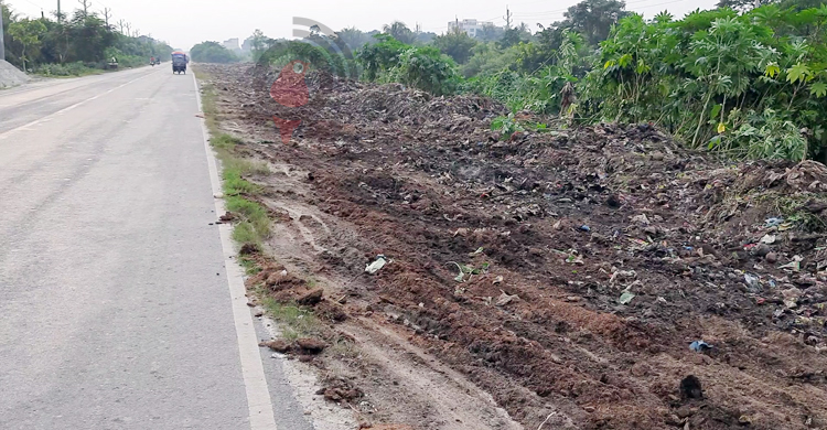 কুষ্টিয়া-রাজবাড়ী মহাসড়কের পাশে আবর্জনার ভাগাড়