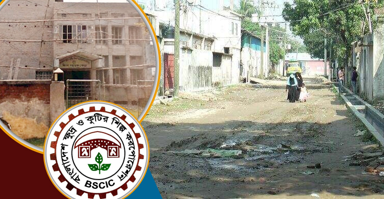 বন্ধ বিসিকের ৮ শিল্পনগরীর কাজ, ব্যয় বাড়ানোয় জটিলতা