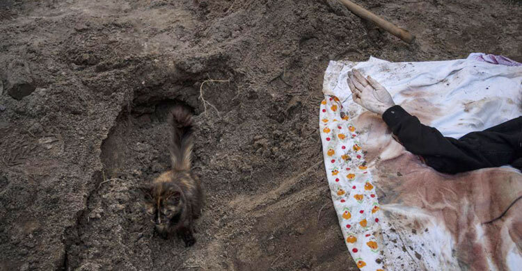 More than 900 civilian bodies found in Kyiv region: Police