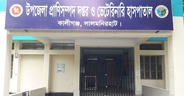 ছুটির আগেই অফিস বন্ধ করে বাড়ি গেছেন কর্মকর্তা-কর্মচারীরা