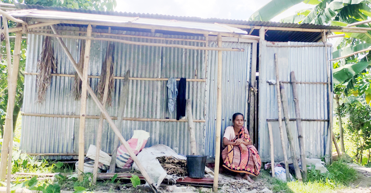 ঘর নেই, বিধবা ভাতার কার্ডও জুটছে না নিঃসন্তান লাইলীর