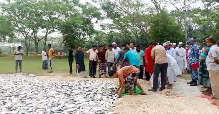 ১০০ মণ জাটকা গেলো এতিমখানায়, ৯ জেলের জরিমানা