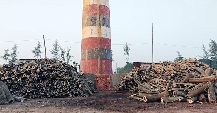 এক ইউনিয়নে ২৮ ইটভাটা