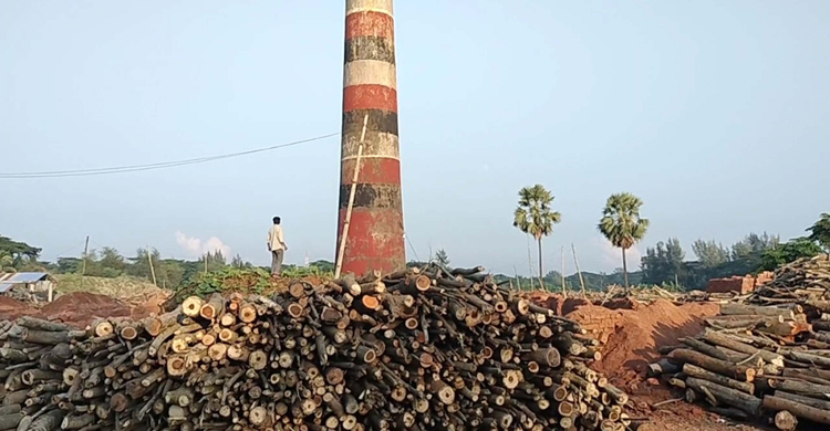 এক ইউনিয়নে ২৮ ইটভাটা