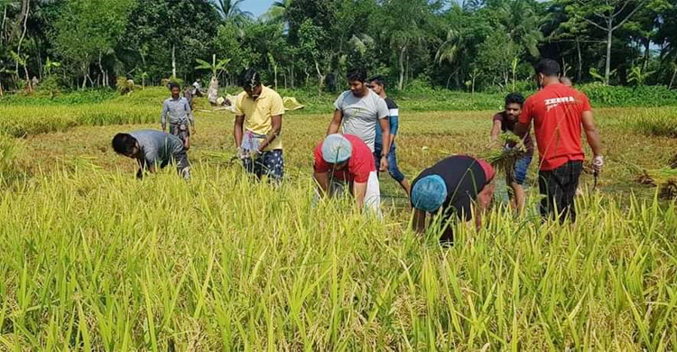 Lakshmipur-Jubolig-1