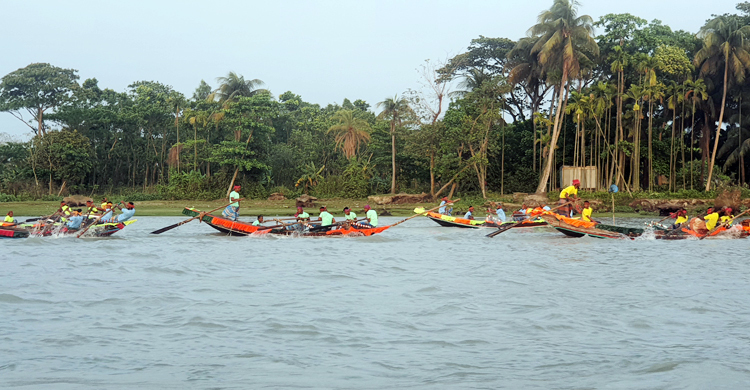 ইলিশ সংরক্ষণ সচেতনতায় লক্ষ্মীপুরে নৌকাবাইচ