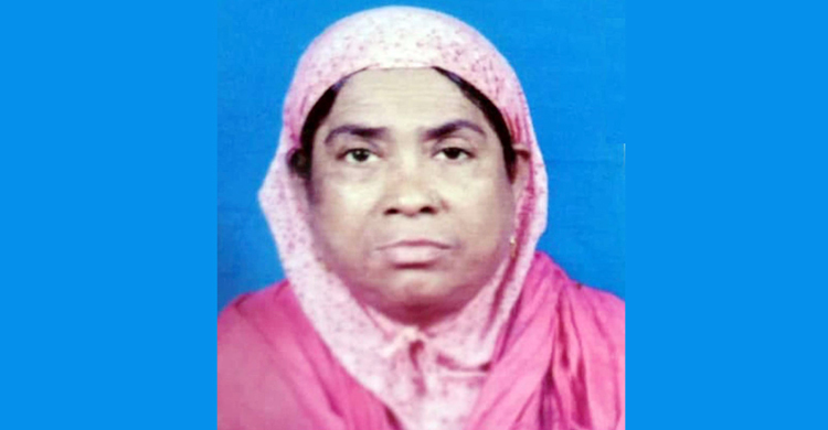 বিয়ে করতে প্রেমিকার কথায় বৃদ্ধাকে খুন