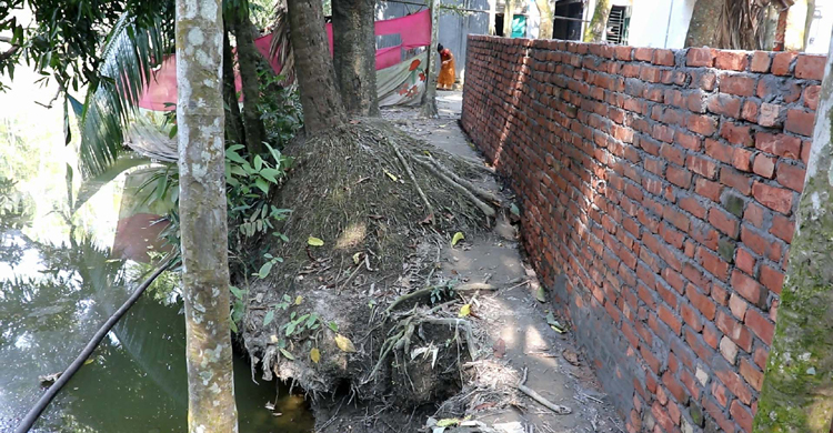 লক্ষ্মীপুরে জমি দখল করে দেয়াল নির্মাণ, অবরুদ্ধ ৩ পরিবার