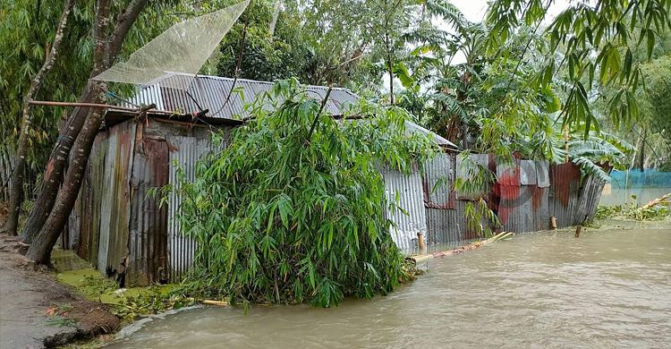 তিস্তাপাড়ে বানভাসি মানুষের দুর্ভোগ চরমে