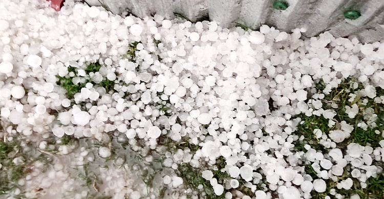 শীতের শেষে এমন শিলাবৃষ্টি কখনো দেখেনি লালমনিরহাটবাসী