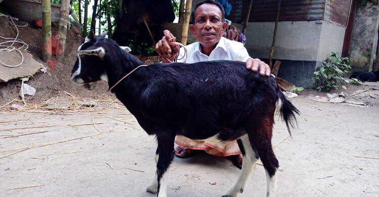 এবারও প্রধানমন্ত্রীর নামে খাসি কোরবানি দেবেন আকন্দ