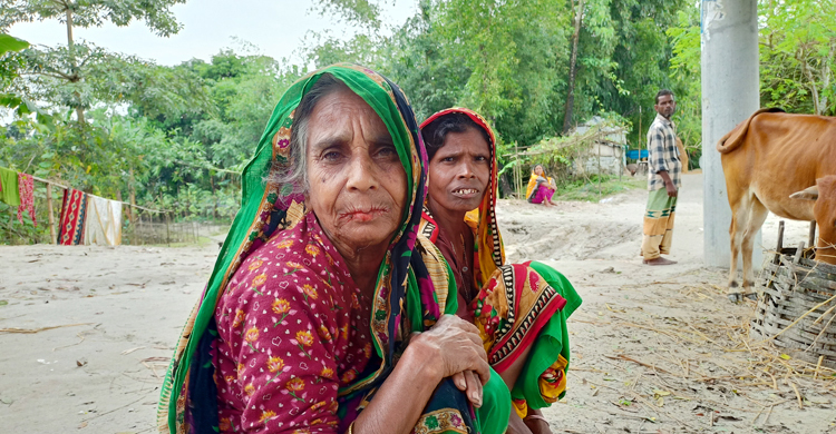 তিস্তায় সব হারিয়ে কাঁদছেন জহুরা বেওয়া