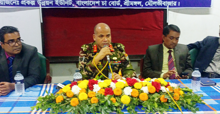 তামাক বাদ দিয়ে জমিতে চা চাষ করুন: চা বোর্ডের চেয়ারম্যান