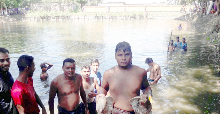 গ্রামে হাঁস খেলা দেখতে উপচেপড়া ভিড়