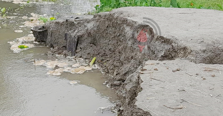 তিস্তার পানিতে বন্ধ ১০ প্রাথমিক বিদ্যালয়, ভয়াবহ হচ্ছে ভাঙন