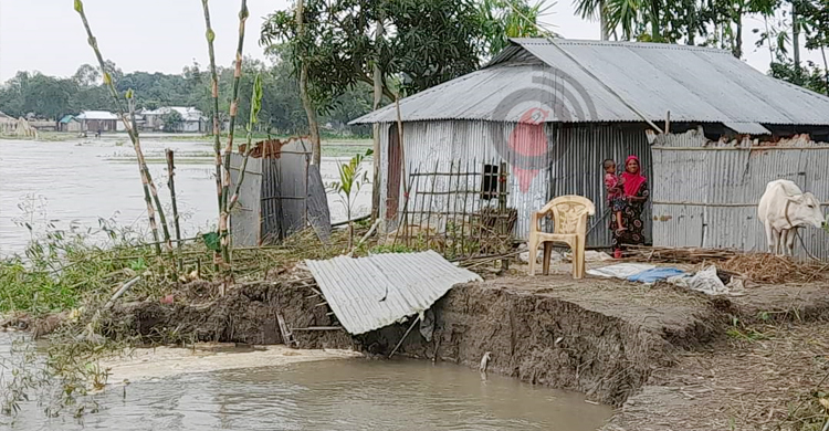 তিস্তার পানিতে বন্ধ ১০ প্রাথমিক বিদ্যালয়, ভয়াবহ হচ্ছে ভাঙন