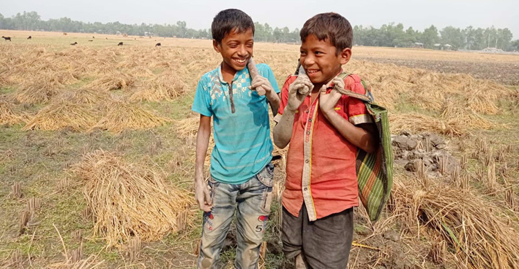 ইঁদুরের ধান বেচে শীতের পোশাক!