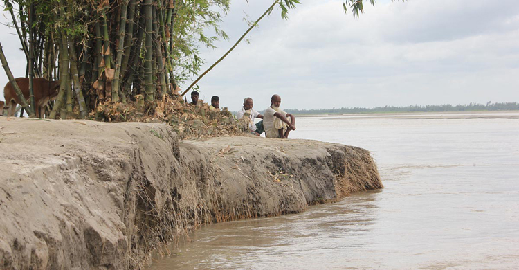 কমছে তিস্তার পানি, বাড়ছে ভাঙন