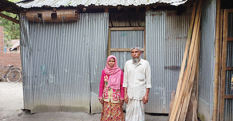 আয়ের একমাত্র সম্বল হারিয়ে নিঃস্ব আলী হোসেন