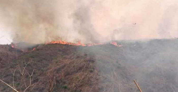 লামায় জুমের বাগানে আগুন, জড়িতদের বিরুদ্ধে ব্যবস্থা নিতে সমাবেশ