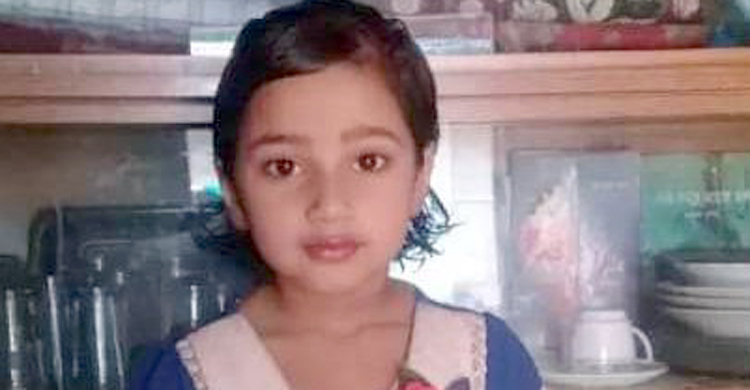 নানার বাড়িতে বিয়ে খেতে গিয়ে মারা গেল শিশু