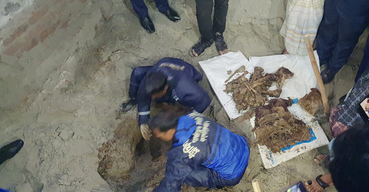 নিখোঁজের দুই বছর পর মাথার খুলি ও হাড় উদ্ধার