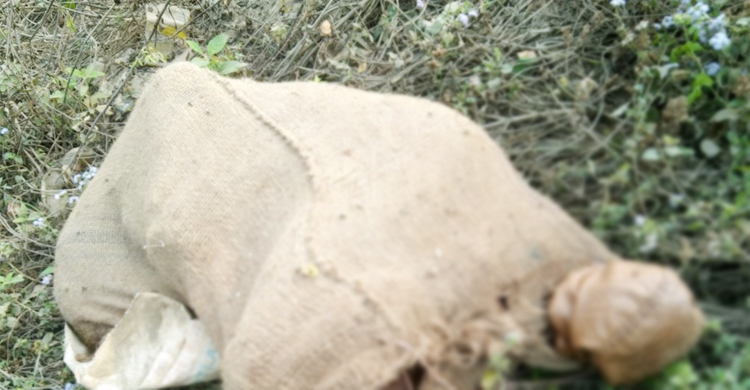 দক্ষিণ সুরমায় হাত-পা বাঁধা বস্তাবন্দি মরদেহ উদ্ধার