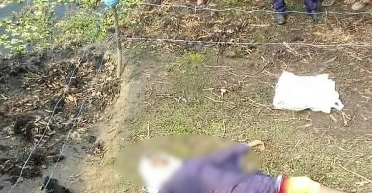 বাড়ি ফেরার পথে নিখোঁজ গৃহবধূ, ক্ষেতে মিলল মরদেহ